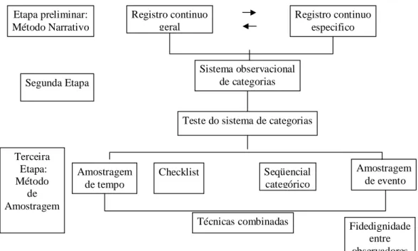 Figura 02: Sistema Observacional - Etapas utilizadas na observação do comportamento (modelo baseado em Irwin &amp; Bushnell, 1980).