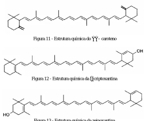 Figura 12 - Estrutura química da α-criptoxantina 