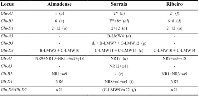 Tabela  14:  Prolaminas  dos  progenitores  “Almadense”,  “Sorraia”  e  “Ribeiro”.  São  apresentados  os  blocos  de  subunidades  de  gluteninas  (HMW  e  LMW),  gliadinas  [não  reduzidas (NR) e reduzidas (ω,γ, β, γ)] com os correspondentes loci