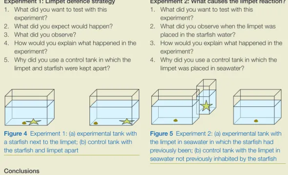 Figure 4  Experiment 1: (a) experimental tank with  a starfish next to the limpet; (b) control tank with  the starfish and limpet apart