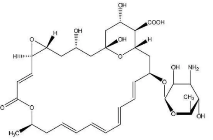 Figura 3 – Estrutura química da natamicina (EFSA, 2009). 