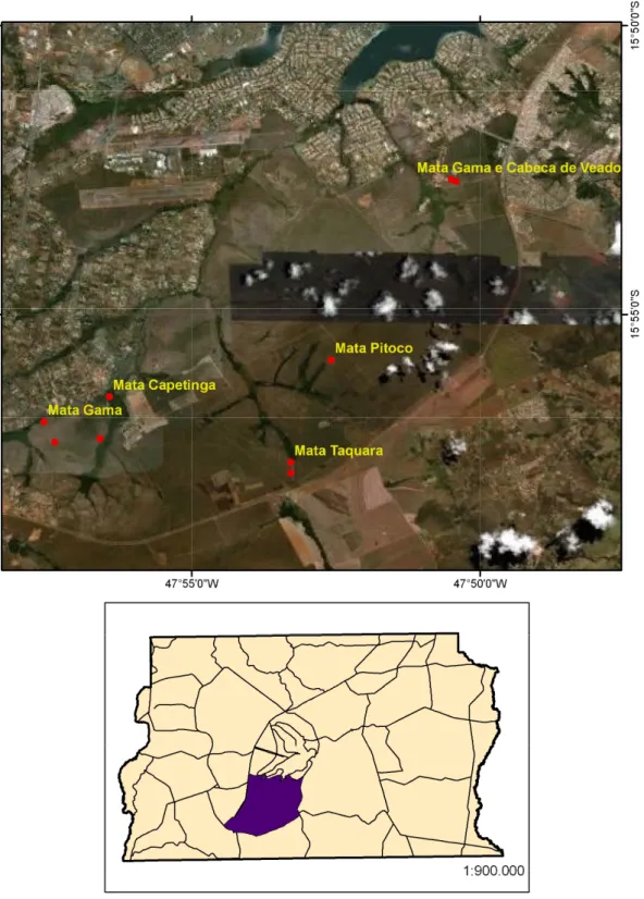 Figura 1 – Localização dos pontos de coleta de poneromorfas na APA Gama e Cabeça  de Veado, Distrito Federal, Brasil