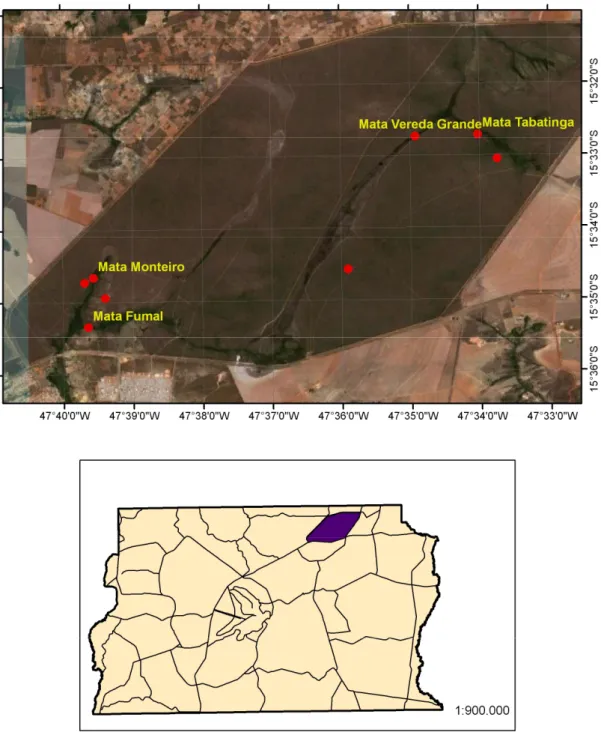 Figura 3 - Localização dos pontos de coleta de poneromorfas na Estação Ecológica de  Águas Emendadas, Distrito Federal, Brasil
