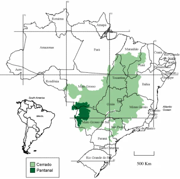 Figura 1 -  Localização dos biomas Cerrado e Pantanal, no continente sul-americano (Cavalcanti, 2002)
