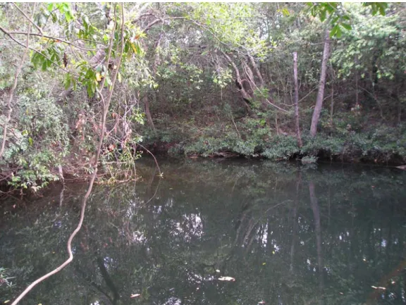 Figura 3 - O rio dos Couros, em seu curso durante o período de seca. Portal da Chapada, Alto  Paraíso-GO