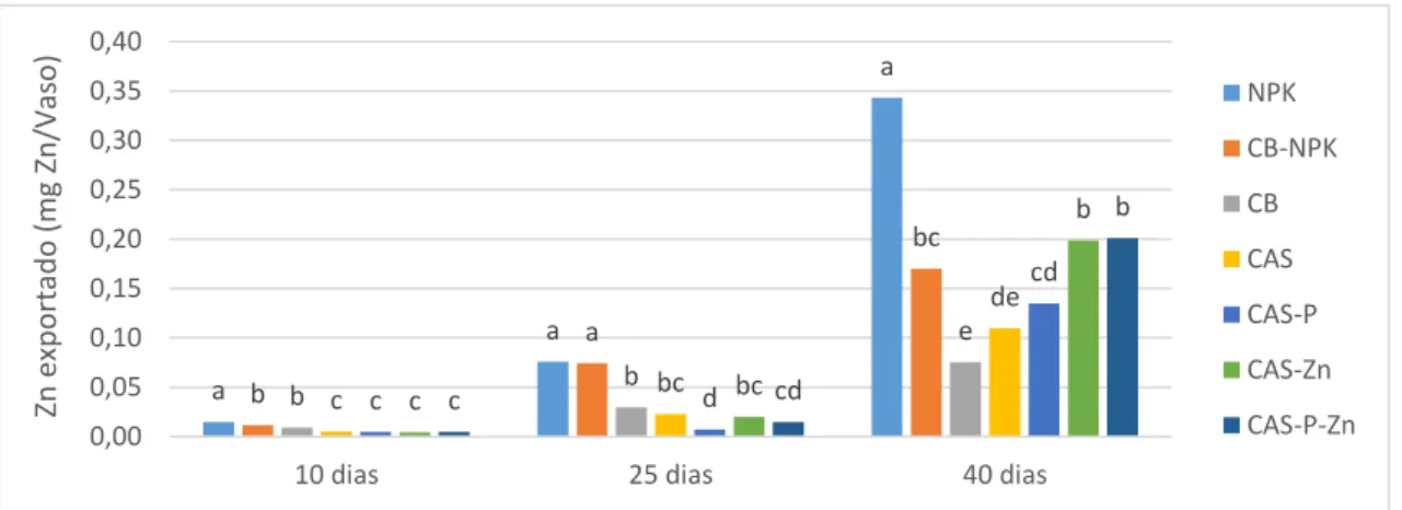 Figura 19 - Exportação de zinco pelas raízes de milho em cada modalidade aos 10, 25 e 40 dias  após  a  germinação