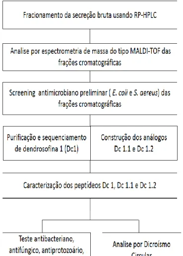 Figura 4. Fluxograma adotado na caracterização química e biológica de peptídeos  de D