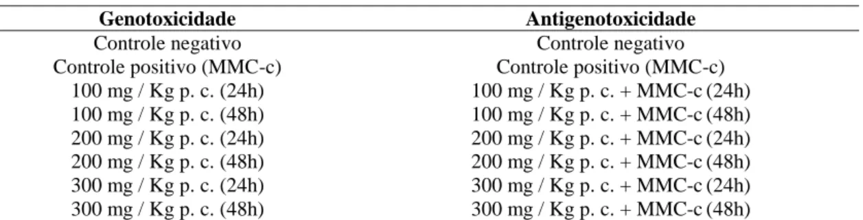 Tabela  1.  Condições  experimentais  dos  testes  de  genotoxicidade  e  antigenotoxicidade  do cogumelo A