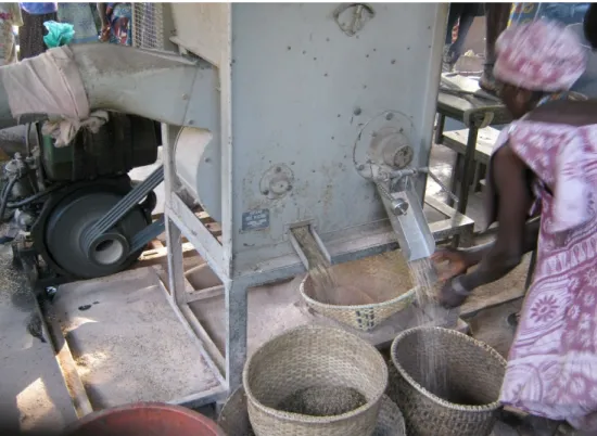 Figura 2: Mulher utilizando a máquina descascadora de arroz 39