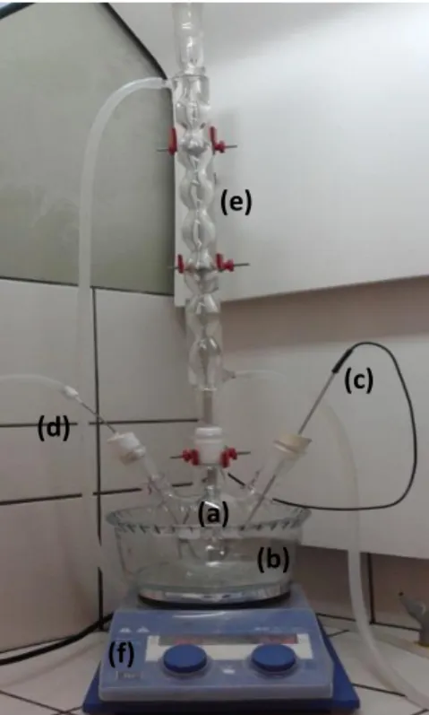 Figura 7: Sistema reacional utilizado para as reações de esterificação da  lignina. Onde: (a) balão de  250 mL, (b) banho de óleo, (c) termopar, (d) entrada de gás nitrogênio, (e) condensador de refluxo e  (f) placa de aquecimento e agitação magnética