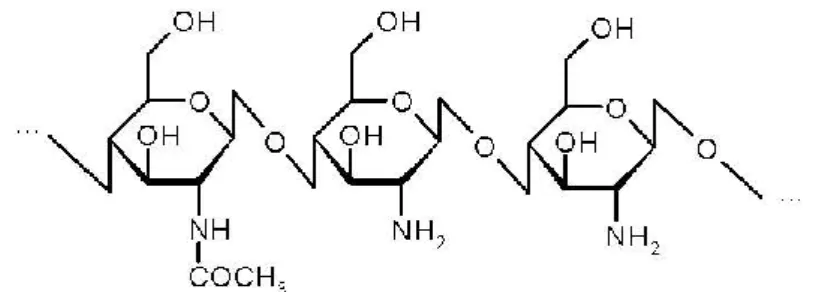 Figura 4 – Fórmula estrutural do quitosano (C 6 H 11 NO 4 ) (OIV, 2009) 