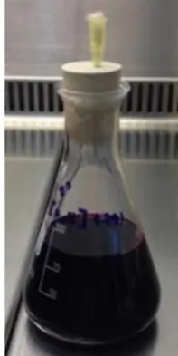 Figura 5 – Balão de erlenmeyer com rolha de borracha e  seringa. 