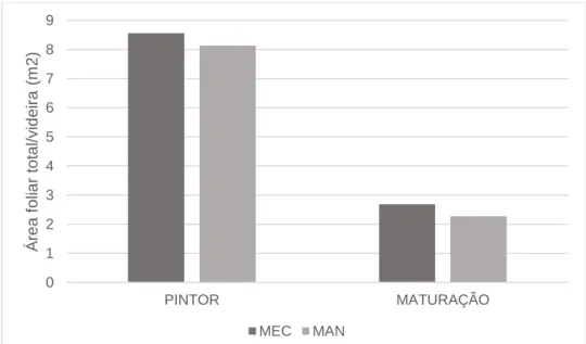 Figura 8 – Influência do tipo de poda na área foliar total por videira (m 2 ) ao pintor e maturação 0123456789PINTORMATURAÇÃO