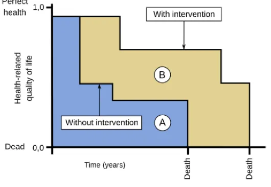 Figura 8 - QALY ganhos com um programa de saúde   Fonte: Adaptado de Drummond et al, 2005 
