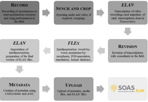 Figure 2. Workflow of data collection and processing 