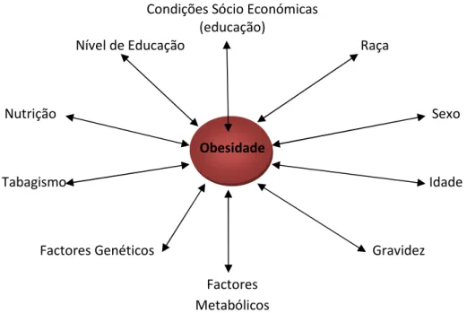 Figura 4 - Causas da Obesidade (Salbe &amp; Ravussin, 2000) 
