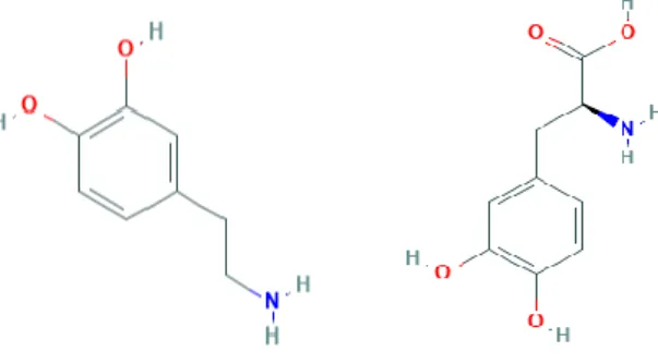 Figura 3 Dopamina e levodopa, respetivamente. Adaptado de Pubchem. 