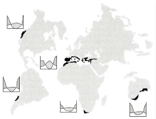 Figura  1.1  Esquema  de  di  Castri  (1991)  onde  são  assinaladas  as  cinco  regiões  do  mundo  com  um  clima “tipo-mediterrânico” juntamente com os diagramas climáticos de Walter et al
