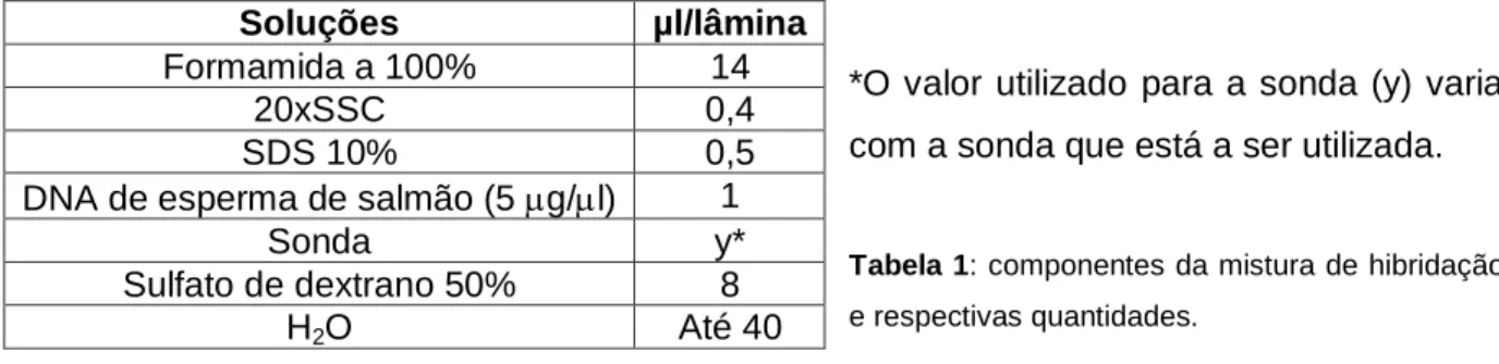 Tabela 1: componentes da mistura de hibridação  e respectivas quantidades. 