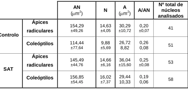 Tabela  2.  Valores  médios  das  áreas  nucleares  (AN),  números  (N)  e  áreas  de  sinais  de  hibridação (A)  e  razão  entre a área de sinais de hibridação e a área nuclear (A/AN) da sequência subtelomérica pSc200 em núcleos de  ápices radiculares e 