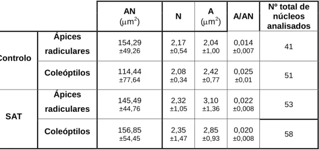 Tabela  3.  Valores  médios  das  áreas  nucleares  (AN),  números  (N)  e  áreas  de  sinais  de  hibridação  (A)  e  razão  entre a área de sinais de hibridação e a área nuclear (A/AN) da sequência ribossomal 45S em núcleos de ápices  radiculares e coleó