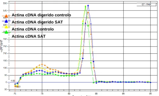 Gráfico 1: Curvas de desnaturação obtidas utilizando primers específicos para a sequência do gene de actina a  partir  de  cDNA  de  indivíduos  não  tratados  (laranja  e  amarelo)  ou  tratados  com  SAT  (azul  e  verde)