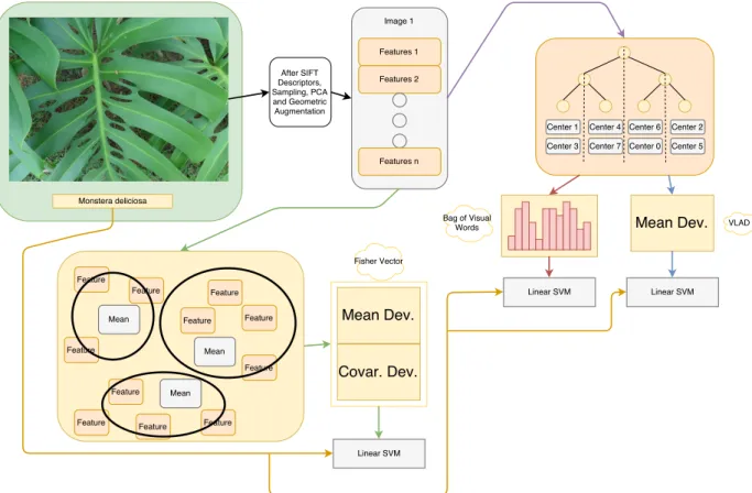 Figure 4.3: This is the part that we encode an image and train or classify it. For an image, we take its descriptor after passing through SIFT features, sampling, PCA and Geometric Augmentation