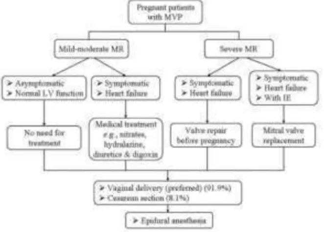 Figura  5-  Estratégias  de  monitorização  das  grávidas  com  regurgitação  mitral  por  prolapso  da  válvula  mitral