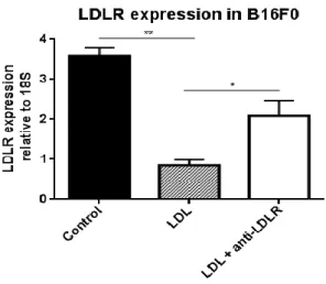 Figure 8: LDLR expression on  B16F0 cells and it’s regulation by LDL. qPCR for B16F0 melanoma cell line untreated (control) or  treated with LDL or with LDL + antibody against  the LDL receptor