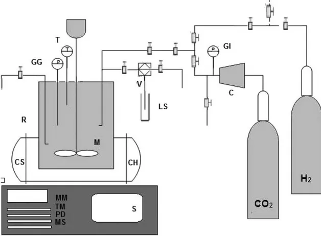 Figure 3.1- Scheme of reaction apparatus: R- bench top reactor with a removable heat vessel equipped  with M- magnetic drive, SR- safety rupture disc, GI- gas inlet valve, GG- pressure gauge, GR- gas release 
