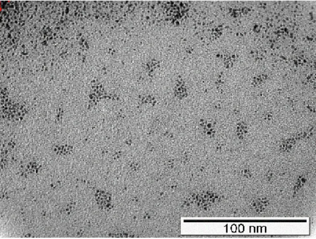 Figure 4.14- TEM image of Ruthenium catalyst of the reaction of entry 1, Table 4.1. 