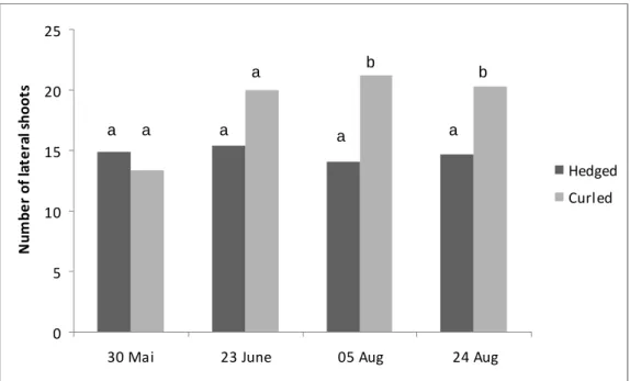 Figure 9: Effect of hedging on the number of lateral shoots of Merlot plants in Saint Emilion
