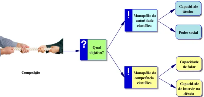 Figura 3 – Capital científico e campo científico 