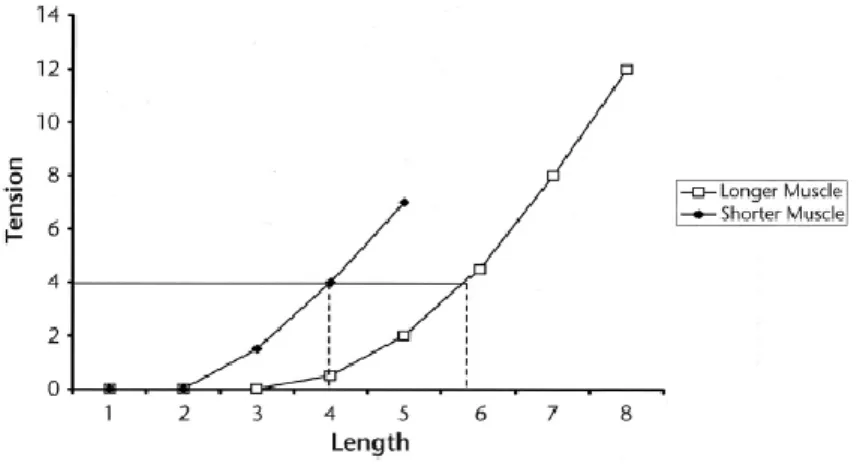 Figure 1. Model of shifting length/tension curve.  