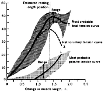 Figure 3. Classic length-tension curves for skeletal muscle.  