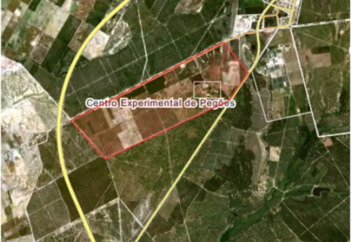 Figure 3.1: Arial view of the experimental vineyard in  Pegões, 70 km east of Lisbon 