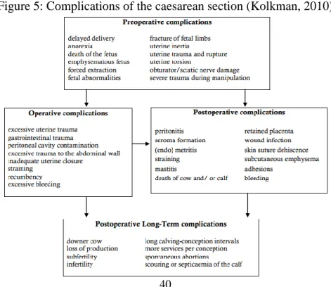 Figure 5: Complications of the caesarean section (Kolkman, 2010) 