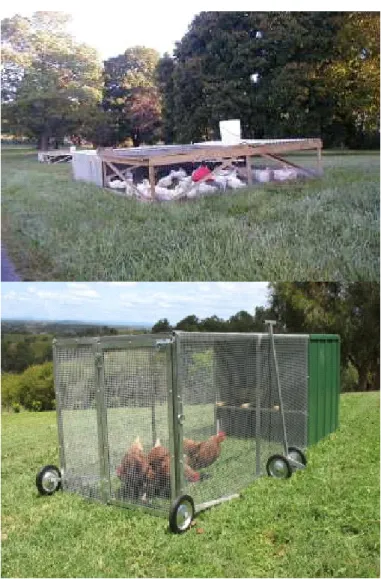 Figure 1.3 Free-range poultry in pastured pens. 