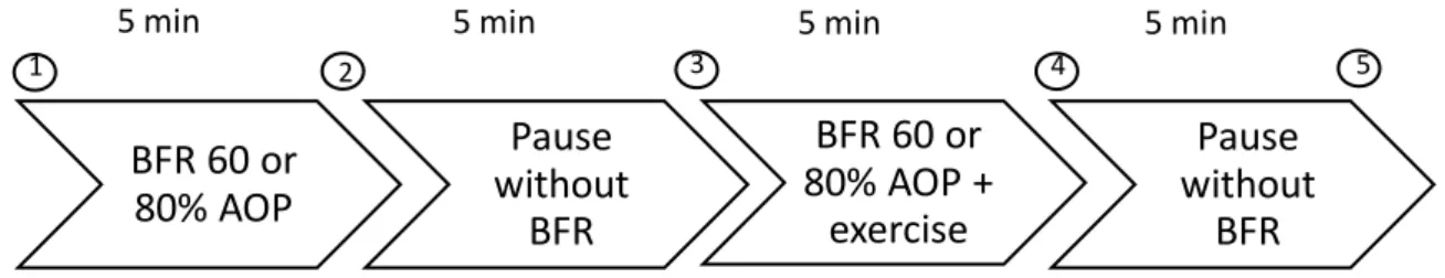 Figure  1.  Study  schematic  representation.  Circled  numbers  represent  evaluations  of  NCV