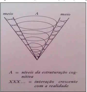 Figura 11 Modelo espiral/helicoidal proposto por Piaget 