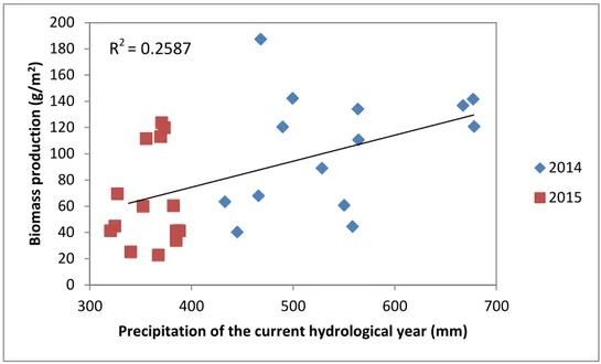 Figure 6 - Relation between average biomass production and currently hydrological year precipitation