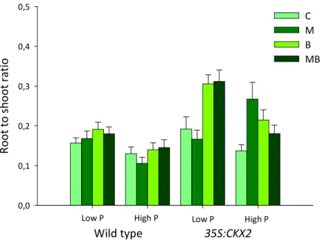 Figure 7). The wild type growing in low P was increased by P. fluorescens alone, slightly increased by the  microbial co-inoculation and not affected by single inoculation of G