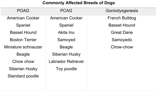 Table 2 – Glaucoma commonly affected breeds of dogs. Adapted from Martín, 2017.