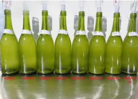 Figure 5. Different amounts of sediments as found after turbidity adjustment, before inoculation