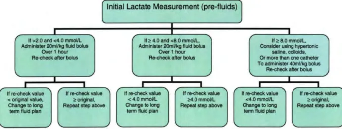 Figure 16: Algorithm for using blood lactate as a guide to fluid therapy (Fielding &amp; Magdesian, 2005)