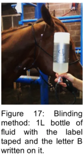 Figure  17:  Blinding  method:  1L  bottle  of  fluid  with  the  label  taped  and  the  letter  B  written on it.