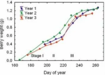 Figure 2: Berry growth chart demonstrates sigmoidal curve (image: Keller, 2010) 