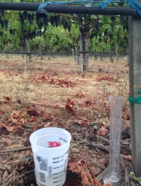 Figure 10: Irrigation calibration was completed to determine uniformity of dripper emission and  accuracy of Decagon Devices irrigation loggers