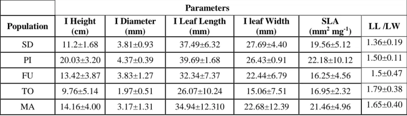 Fig- 6: Initial Height (cm) of  A. glutinosa seedlings from the five studied populations: Sweden (SD),  Italy (PI), Spain (Furelos), Portugal (TO) and Morocco (MA)