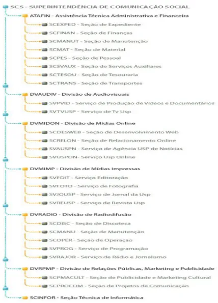 Figura 3 – Organograma da Superintendência de Comunicação Social da USP